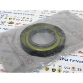 OIL SEAL (39X70X11)